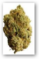 Medical Marijuana School to Open Its Doors in Warwick, Rhode Island in September - Medical Quack
